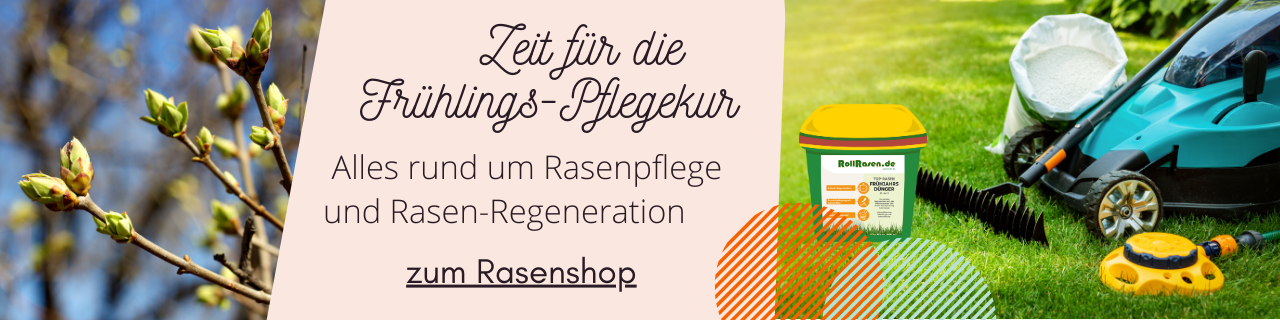 Zeit für die Frühlingspflegekur. Zweige mit Knospen und Rasenfläche mit Werkzeug und Dünger zur Rasenregeneration im Frühling