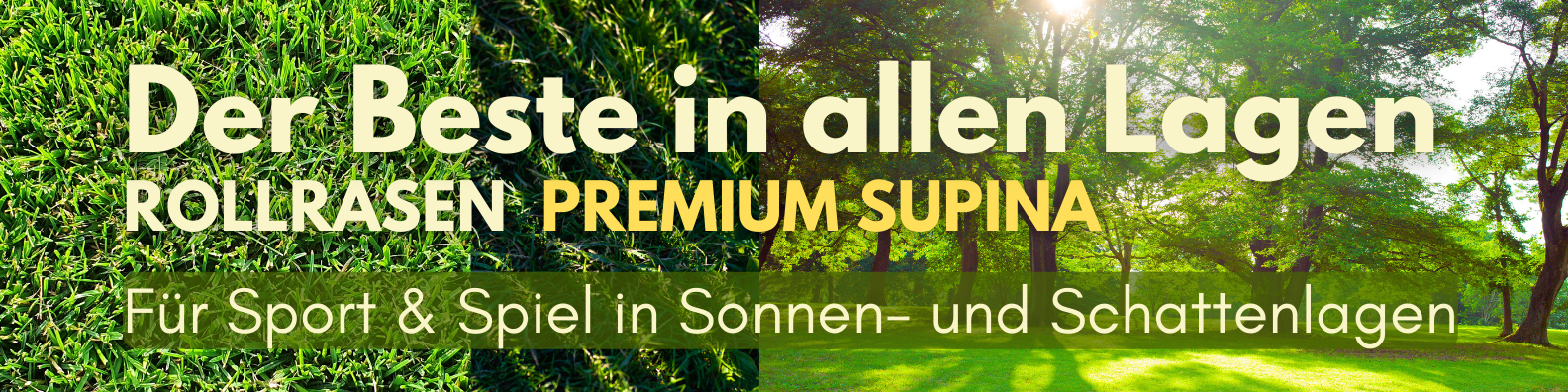 Unser TOP-Rollrasen supina - Premium-Gebrauchsrasen für Sonne & Schatten