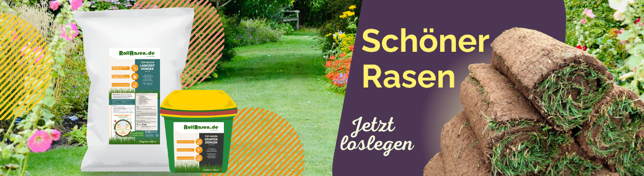Schöner Rasen im Juni mit Rollrasen und Profirasendünger