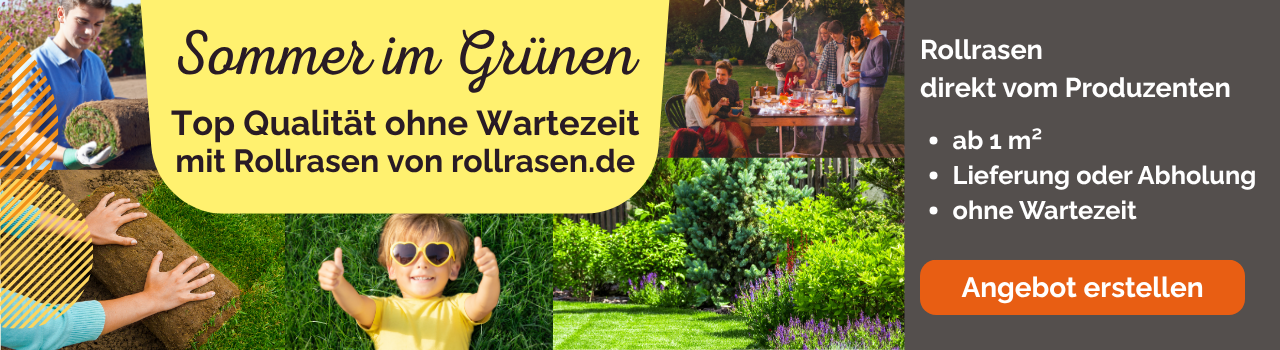 Rollrasen regional selbst abholen oder liefern lassen selbst verlegen ab 1 m²