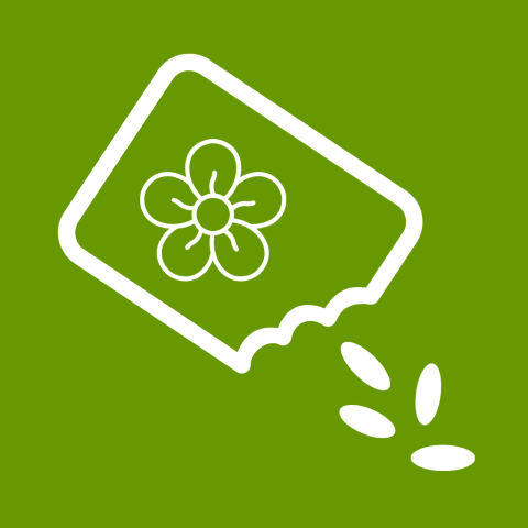 Saatgut Blumen Gemüse