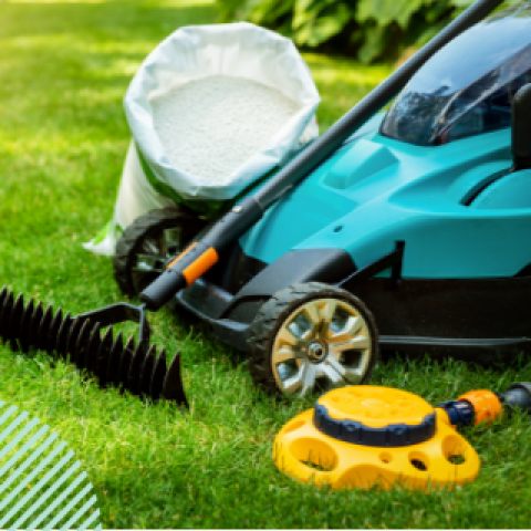 Rasen pflegen - Mäher, Rechen, Dünger, Regner