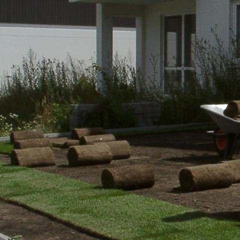 Rollrasen verlegen