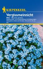 Blaues Vergissmeinnicht