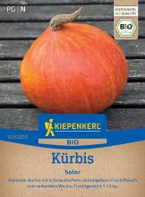 Bio-Saatgut Hokaido-Kürbis 