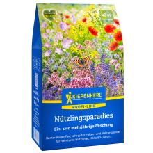 Nützlingsparadies