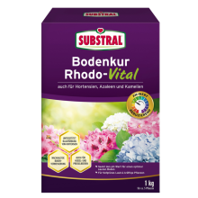 Bodenkur Rhodo-Vital