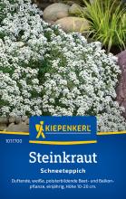 Steinkraut "Schneeteppich"