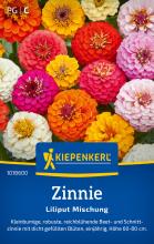 Zinnie "Liliput Mischung" 