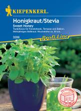 Stevia - Mehrjähriges Süßkraut/Honigkraut