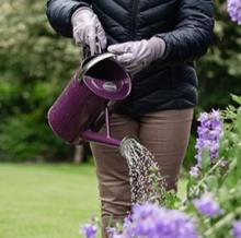 Beispiel Anwendung Kanne Kent&Stowe violett 4,5 l