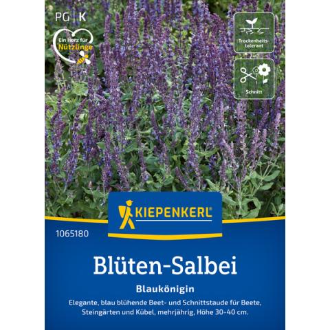 Blüten-Salbei Blaukönigin - nützlingsfreundlich