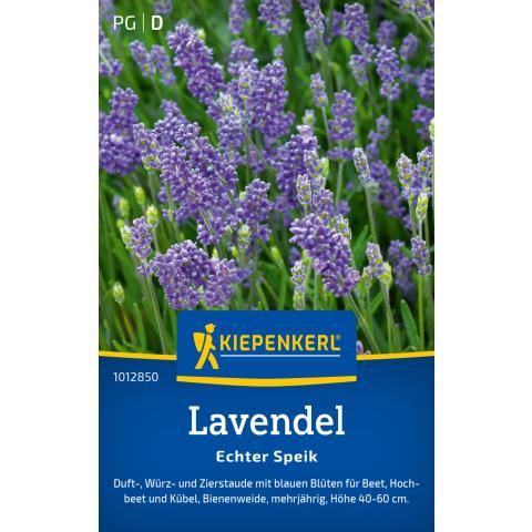 Duftender Lavendel