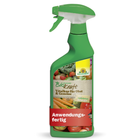 Vitalkur Obst/Gemüse