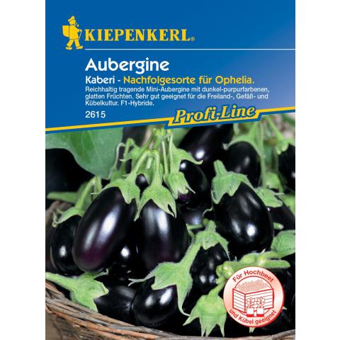 Aubergine Kaberi (F1)