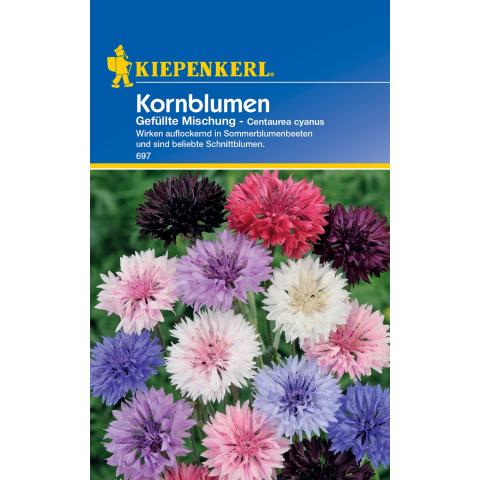 Bunte Kornblumen-Mischung