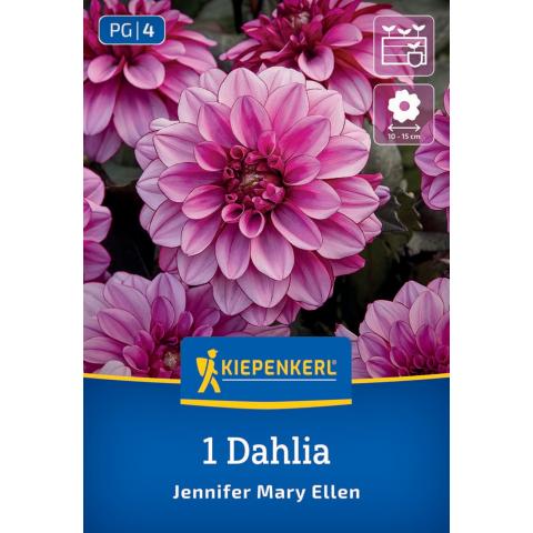 Dahlie "Jennifer Mary Ellen"
