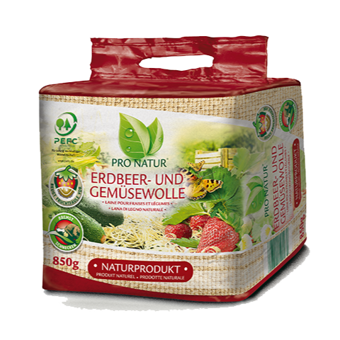 Erdbeere- und Gemüsewolle 850g