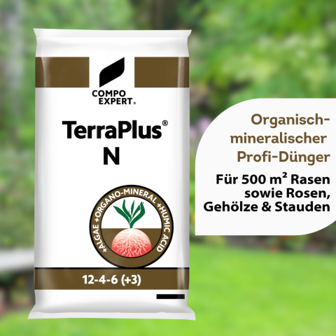 TerraPlus N