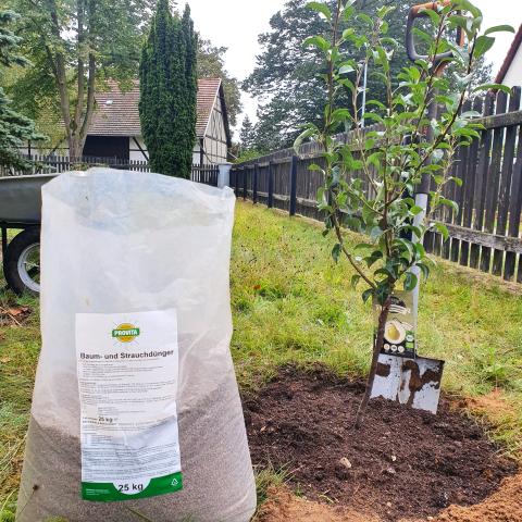 Baum- und Strauchdünger 25 kg