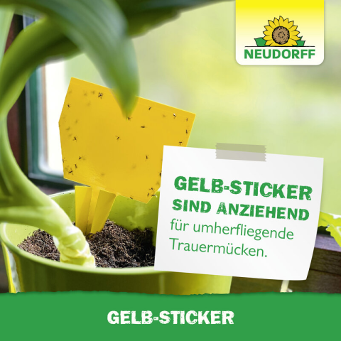 Gelb-Sticker