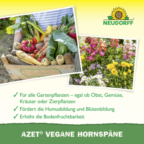 Vegane Hornspäne