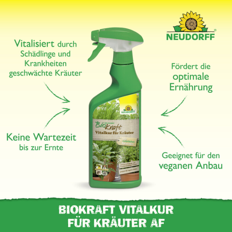 Vitalkur für Kräuter