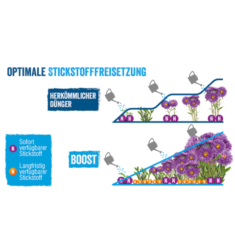 Stickstofffreisetzung