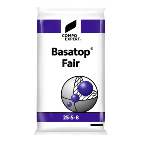 Basatop Fair