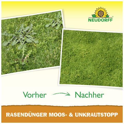 Vorher Vs. Nachher