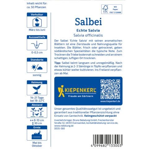 Salbei "Echte Salvia"