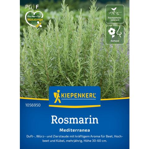 Rosmarin "Mediterranea"