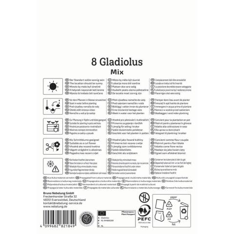 Gladiolen-Mix (8 St)