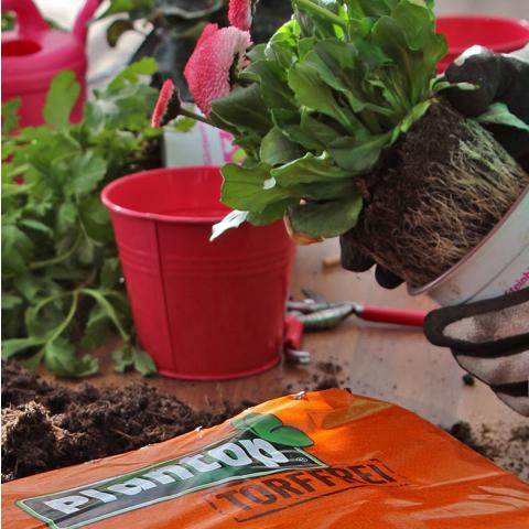 Bio Rasenerde (torffrei) 40l