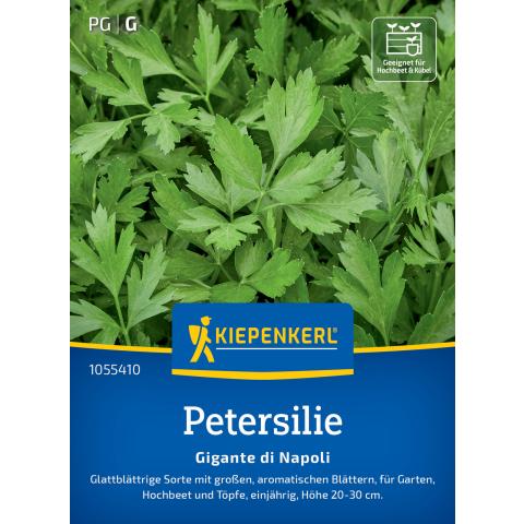 Petersilie 'Gigante di Napoli'