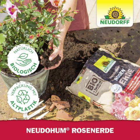 NeudoHum Rosen-Erde 20l