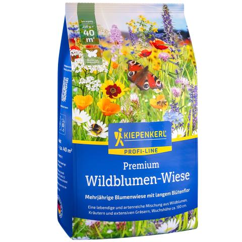 Wildblumen-Wiese 0,25kg für 40m²