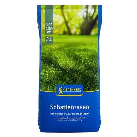 Saatgut Schattenrasen 10kg