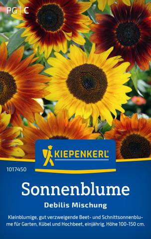 Saatgut Sonnenblumen Mischung Debilis