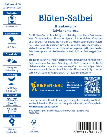 Blüten-Salbei Blaukönigin - nützlingsfreundlich
