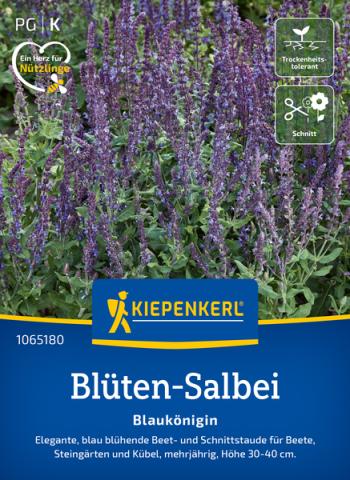 Blüten-Salbei Blaukönigin - nützlingsfreundlich