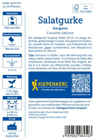 Saatgut Salatgurken 