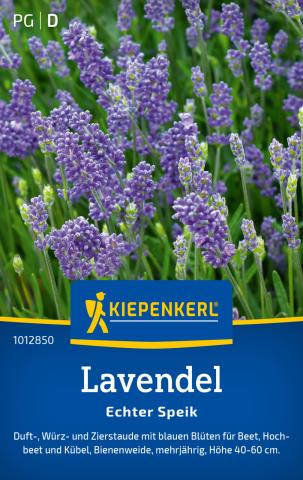 Duftender Lavendel