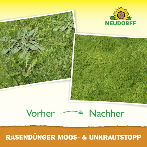 Vorher vs. Nachher