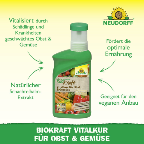 Vitalkur Obst & Gemüse