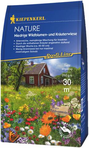 Wildblumen- und Kräuterwiese