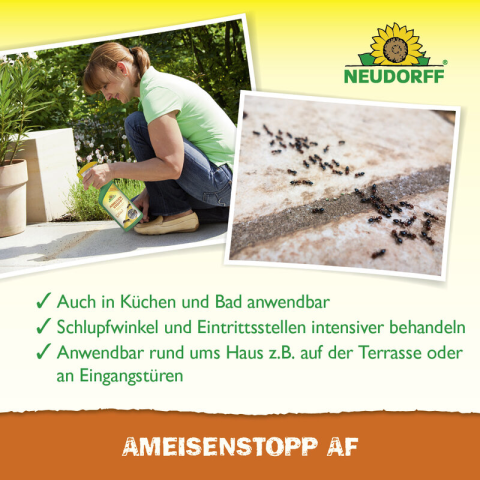 Ameisen-Stopp