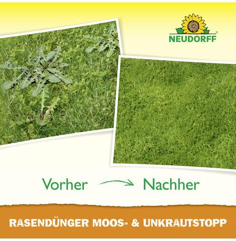 Vorher Vs. Nachher