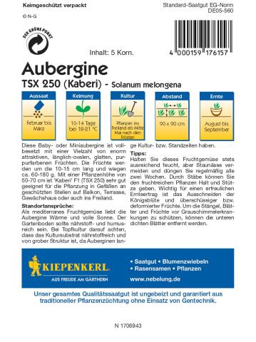 Aubergine Kaberi (F1)