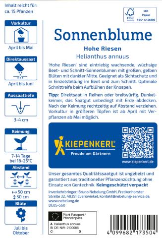 Sonnenblumen "Hohe Riesen"